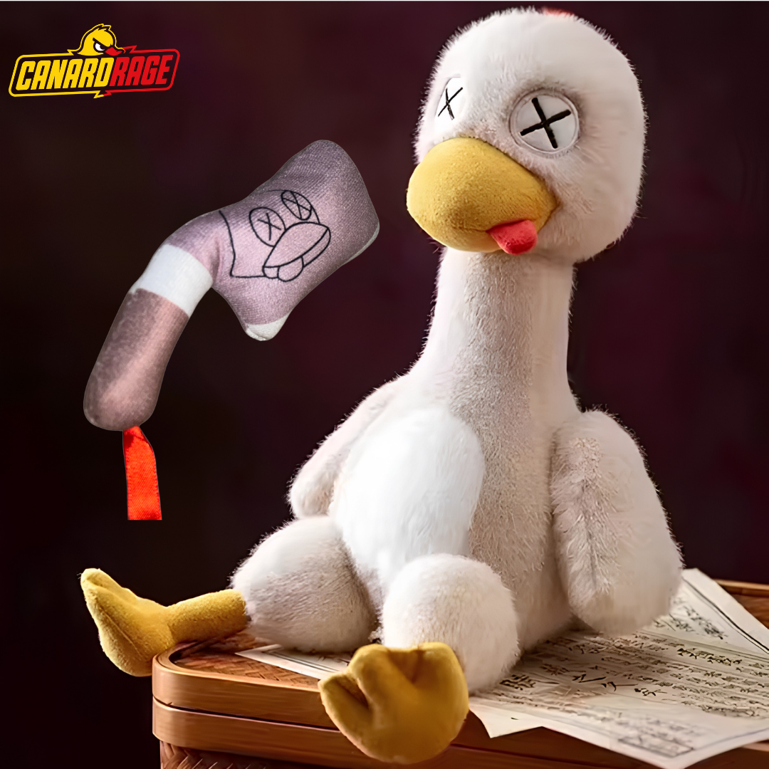 Mr.CanardRage™