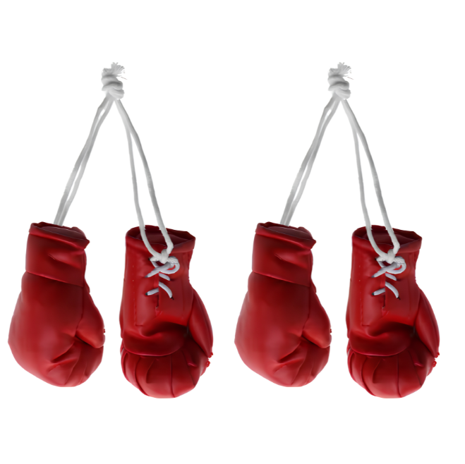 Gants de boxe x2