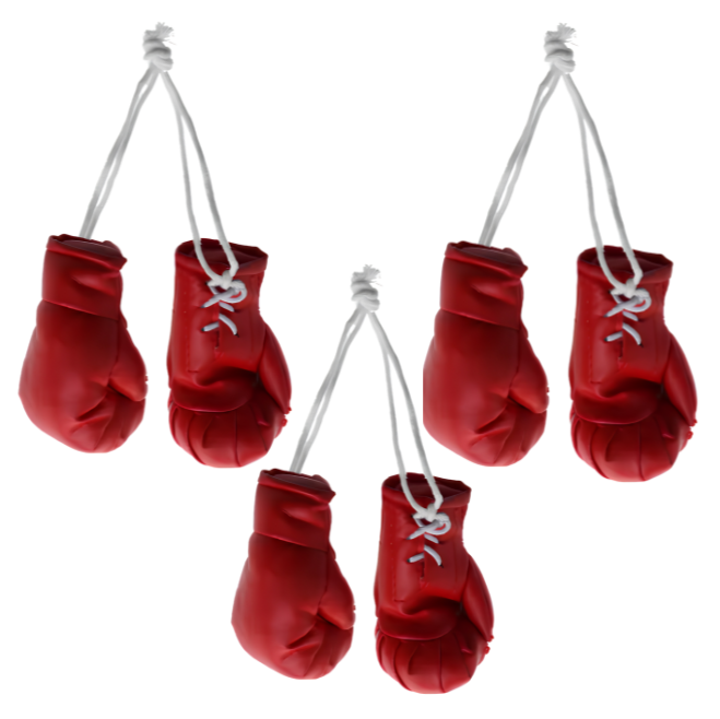 Gants de boxe x3